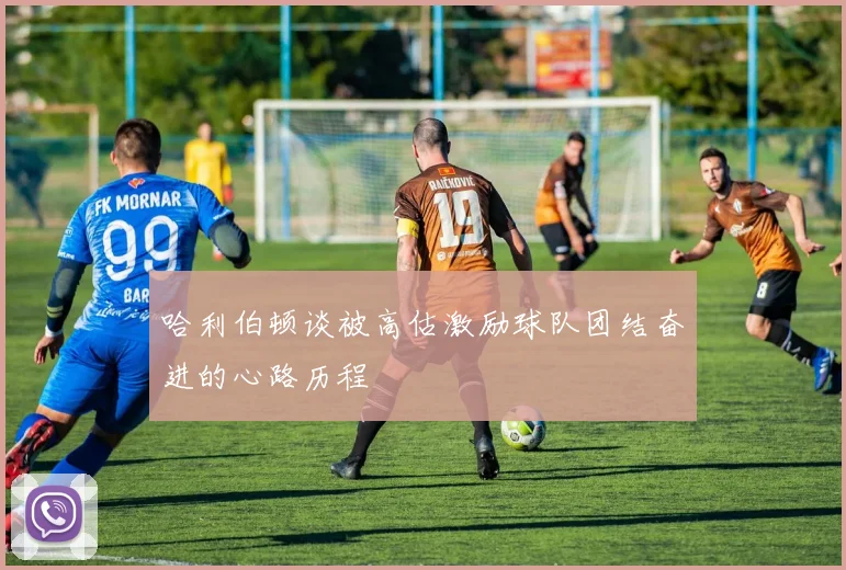 哈利伯顿谈被高估激励球队团结奋进的心路历程
