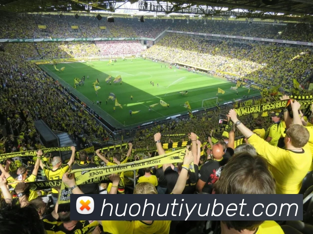 火狐体育平台生态图